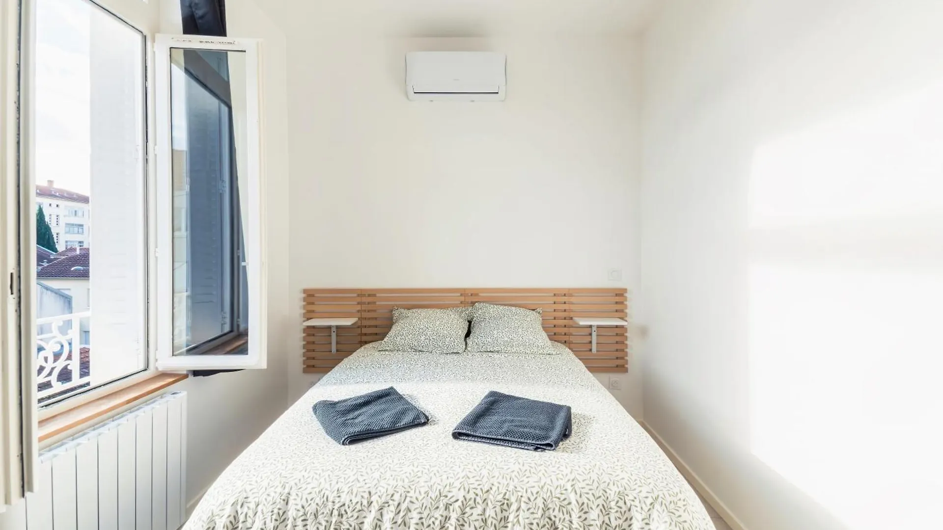 Chaleureux Appartement T2 Au Calme Et Climatise Proximite Centre Lyon Villeurbanne